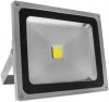 Naświetlacz platyn led ip65 cob 10w 900lm