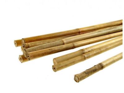 Tyczka bambusowa 6/8mm*900mm                                