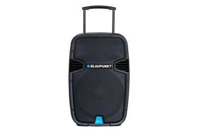 profesjonalny-system-audio-pa15.JPG