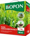 Trawa samozagęszczająca 1 kg                                