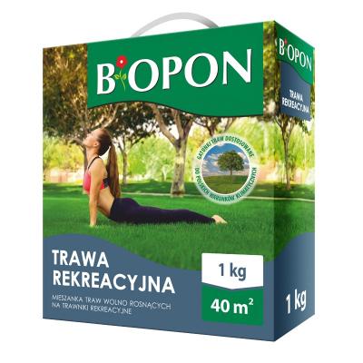 trawa-rekreacyjna-1-kg.JPG