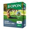 Trawa rekreacyjna 1 kg                                      