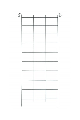 Podpora do roślin krata 50cm*200cm                          