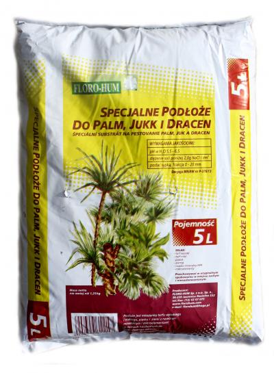 Ziemia - do palm, juk i dracen - 5 l.                       