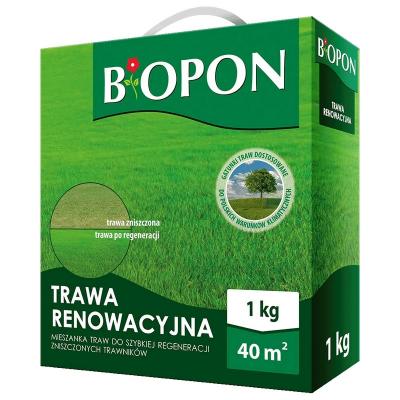 trawa-renowacyjna-1-kg.JPG